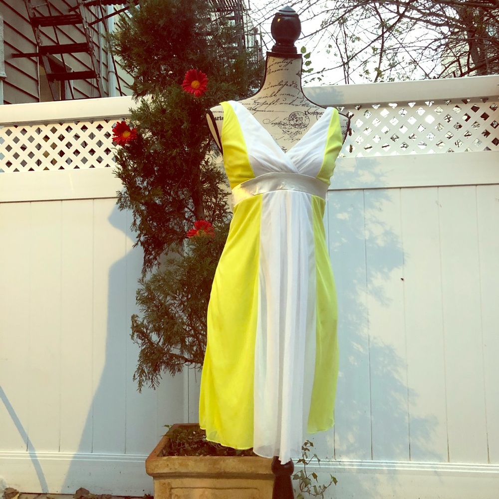 Alyn Paige cocktail dress
